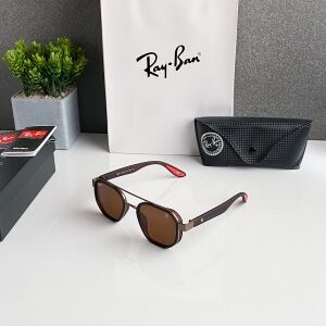 Rayban Full brown 3160