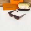 Louis_vuitton_Brown_2324